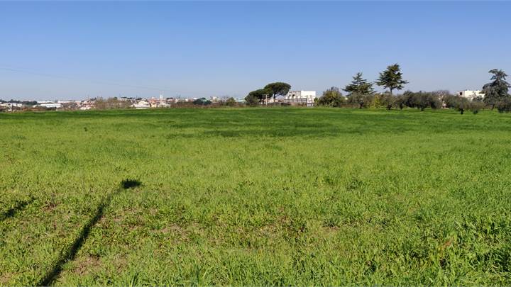 Ti consigliamo anche