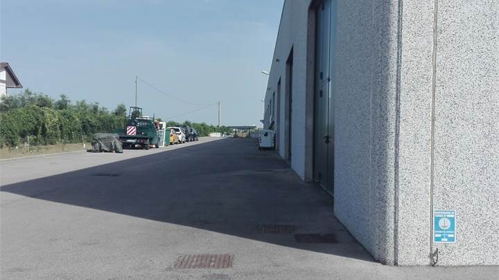 Ti consigliamo anche