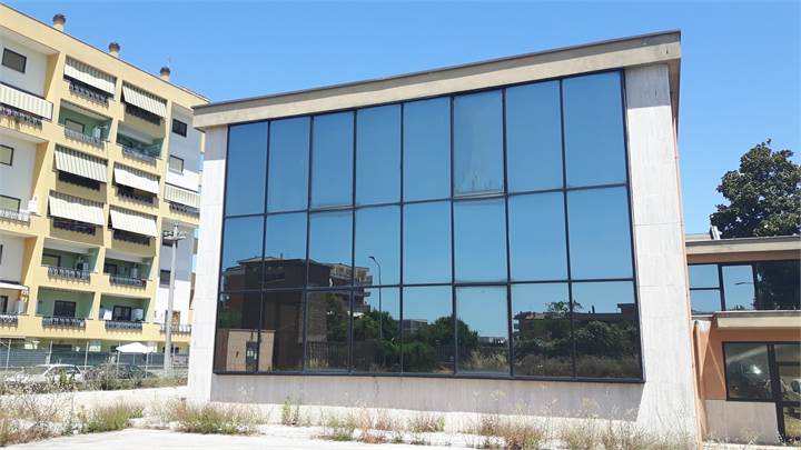 Ti consigliamo anche