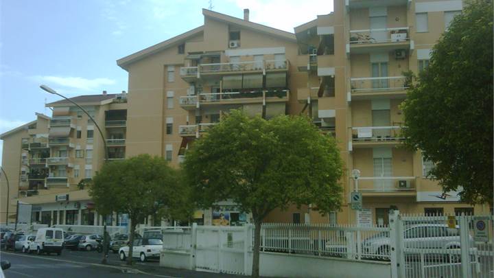 Ti consigliamo anche