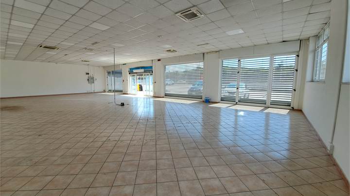 Ti consigliamo anche