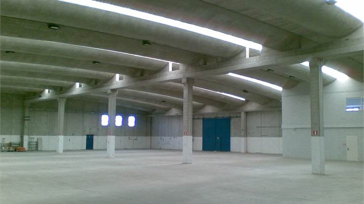 Ti consigliamo anche