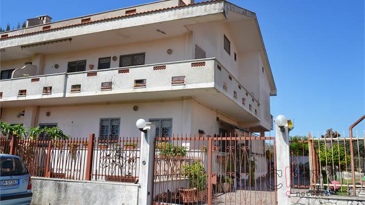 Ti consigliamo anche