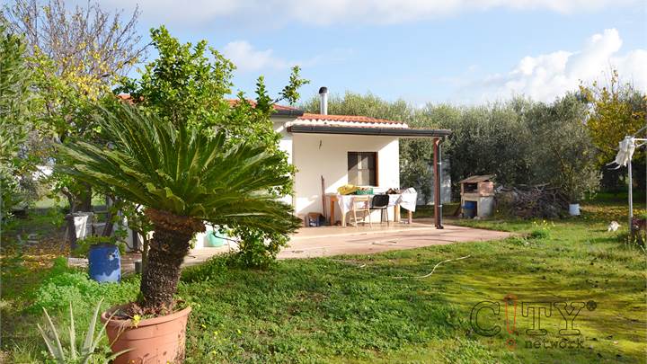 Ti consigliamo anche