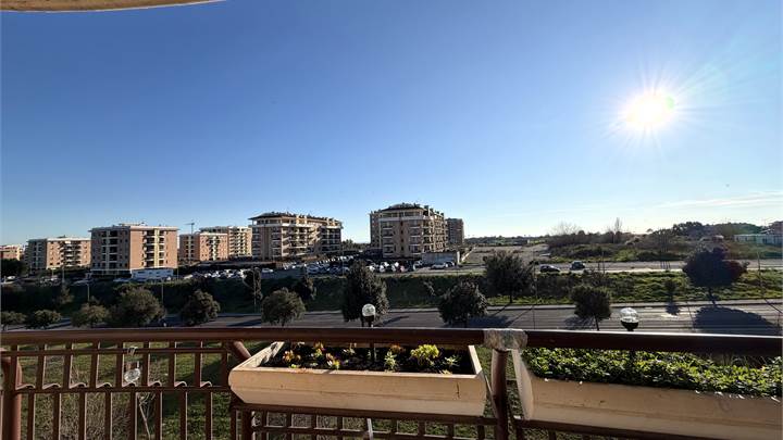 Ti consigliamo anche