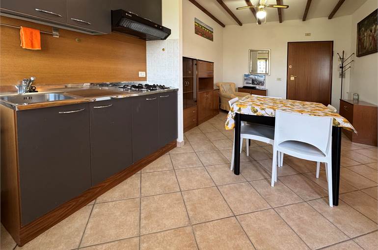Soggiorno-notte con cucina a vista 