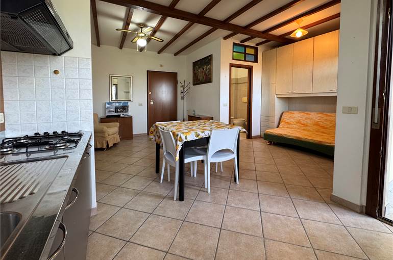 Soggiorno-notte con cucina a vista 