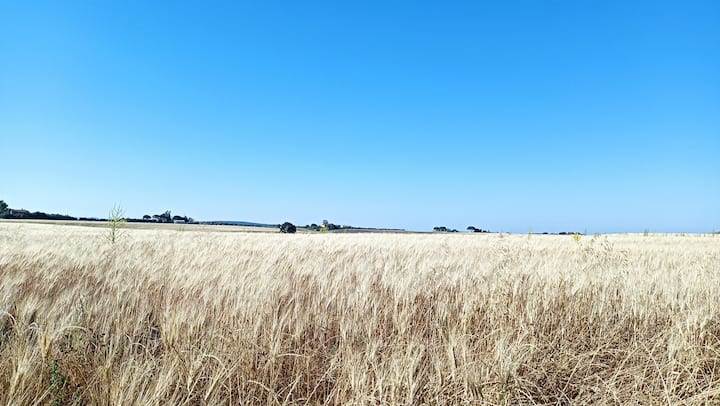 Panoramica della zona 