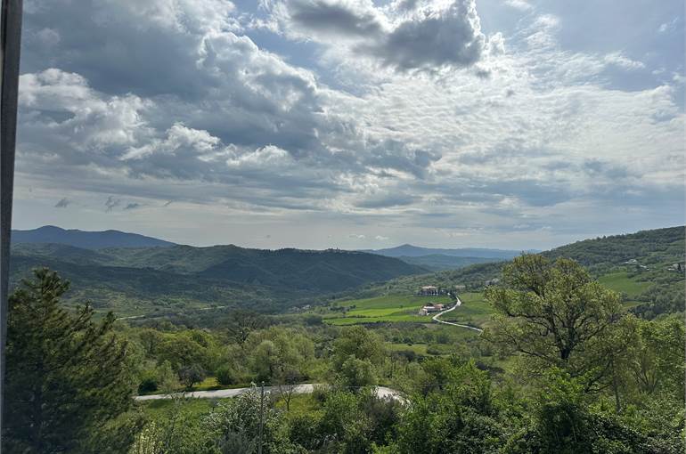 Vista panoramica 