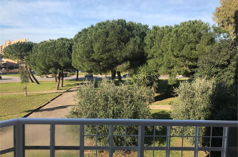 Vista parco 