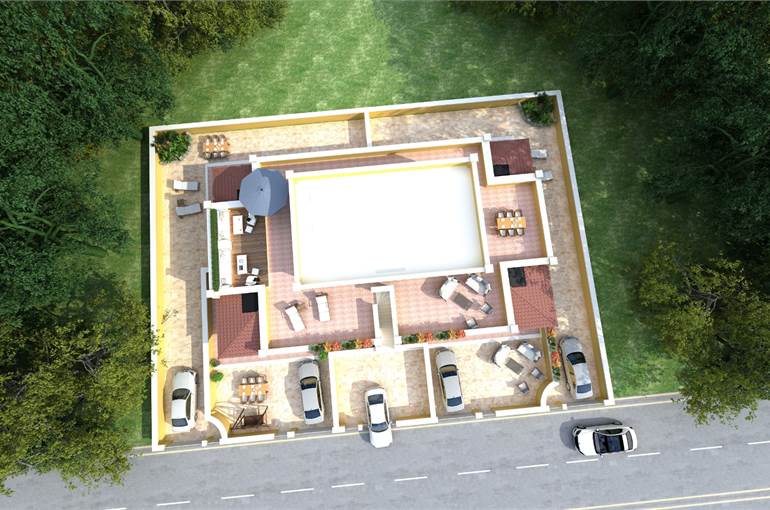 Render in pianta